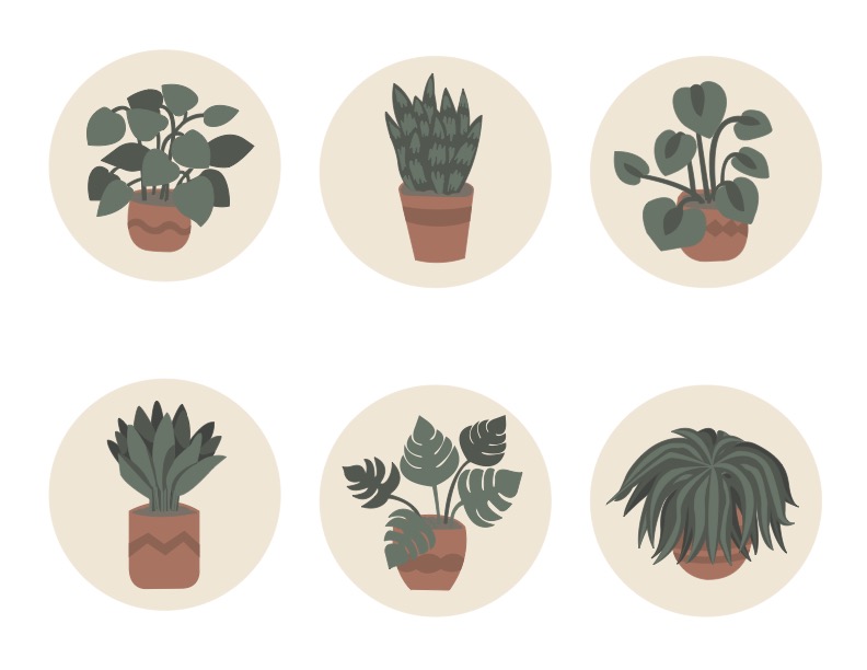 What Challenges Have I Encountered in My Creative Journey?